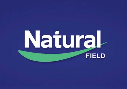 What are the advantages of glutathione liposomes in functional food innovation