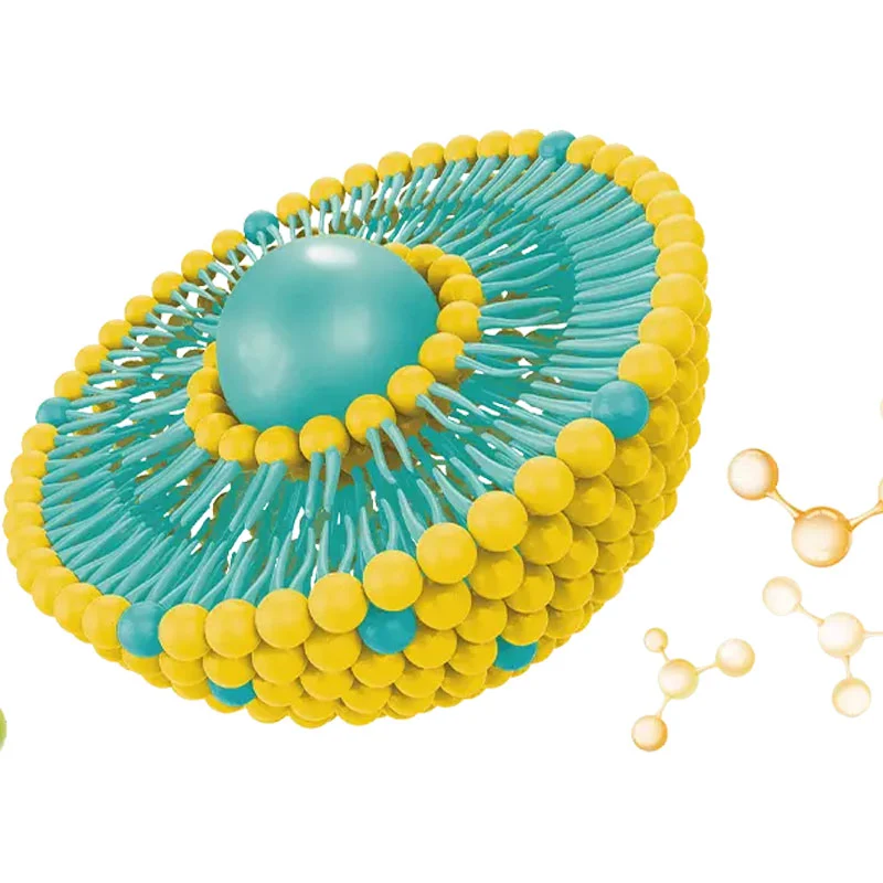 Natural Field Co-Loaded Liposomal Technology