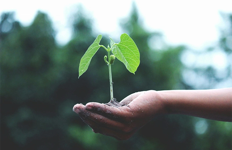Natural Field Sustainability