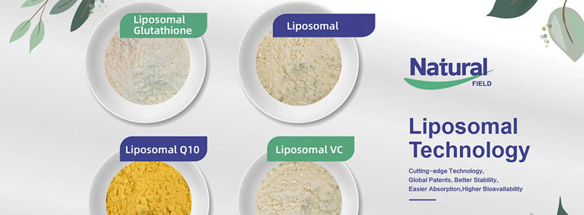Natural Field Liposome Products