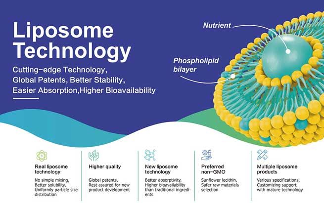 liposomal mean