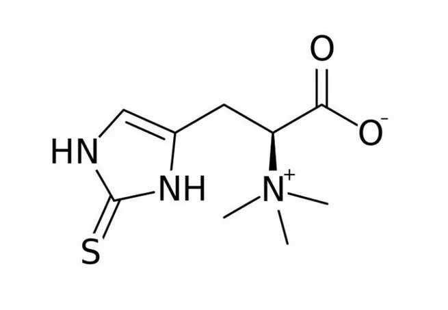 liposomes are made up of