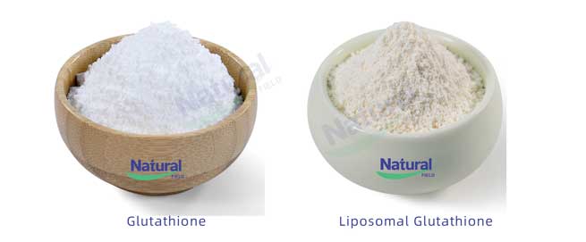 alpha arbutin is