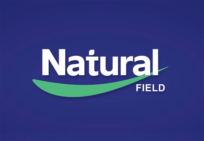nettle seed extract