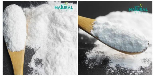 creatine powder