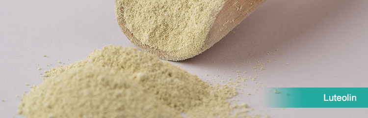 Luteolin Powder