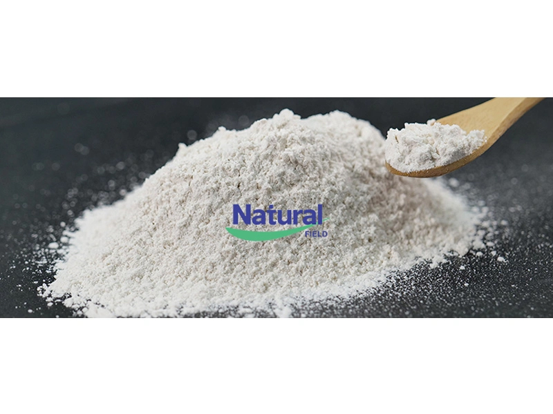 melatonin-company