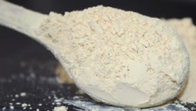 Panax Ginseng Extract