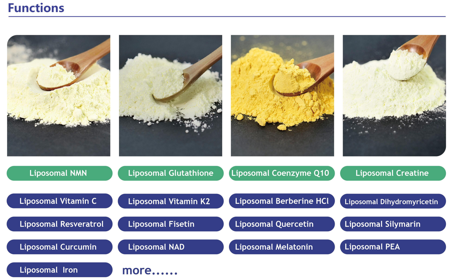 liposome are