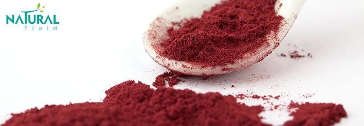 pqq supplement
