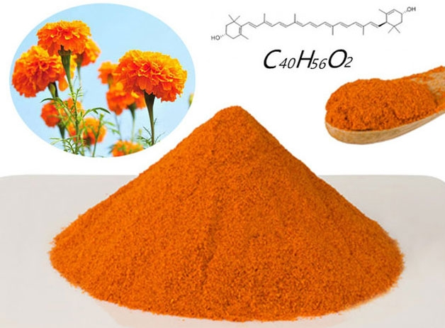 Top 10 Hot Healthy Ingredients Suggested in the 100 Billion Eye Care Market