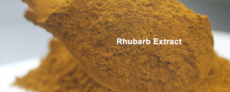 What are the components of rhubarb extract?