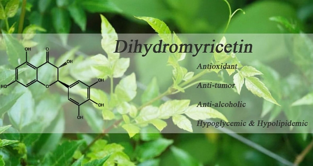 What are the benefts of Dihydromyricetin?