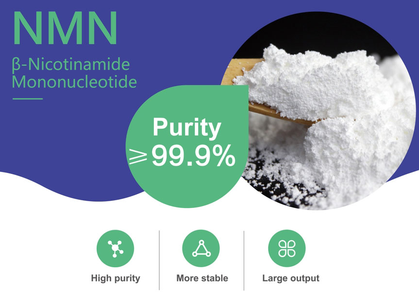News You May Not Know About NMN