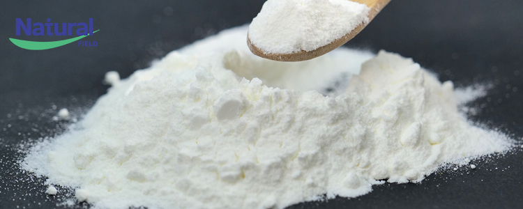 Natural Field-Popular Science of Vitamin K2 Knowledge