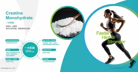 Popular sports nutrition supplement ingredients recommended in 2025