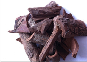 The miraculous application of African plum extract in the field of health