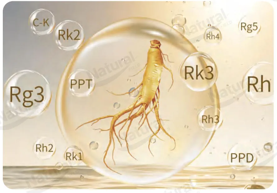 The Role and Advantages of Rare Ginsenosides in Co-loading Liposomes