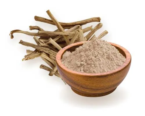 Why Shatavari Is Gaining Attention in the Health Market