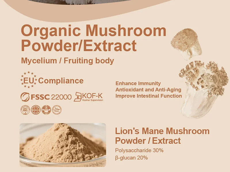 How to Select a High-Quality Supplier of Organic Mushroom Extracts