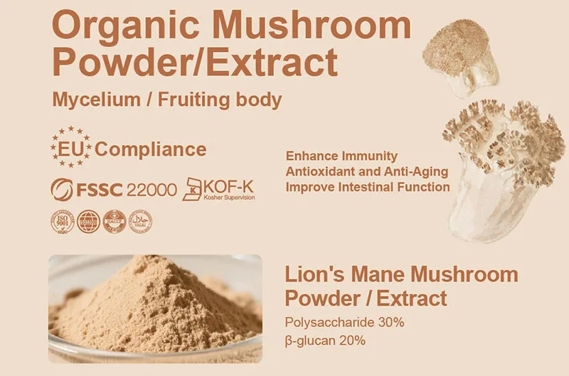 How to Find a Reliable Organic Mushroom Extract Supplier