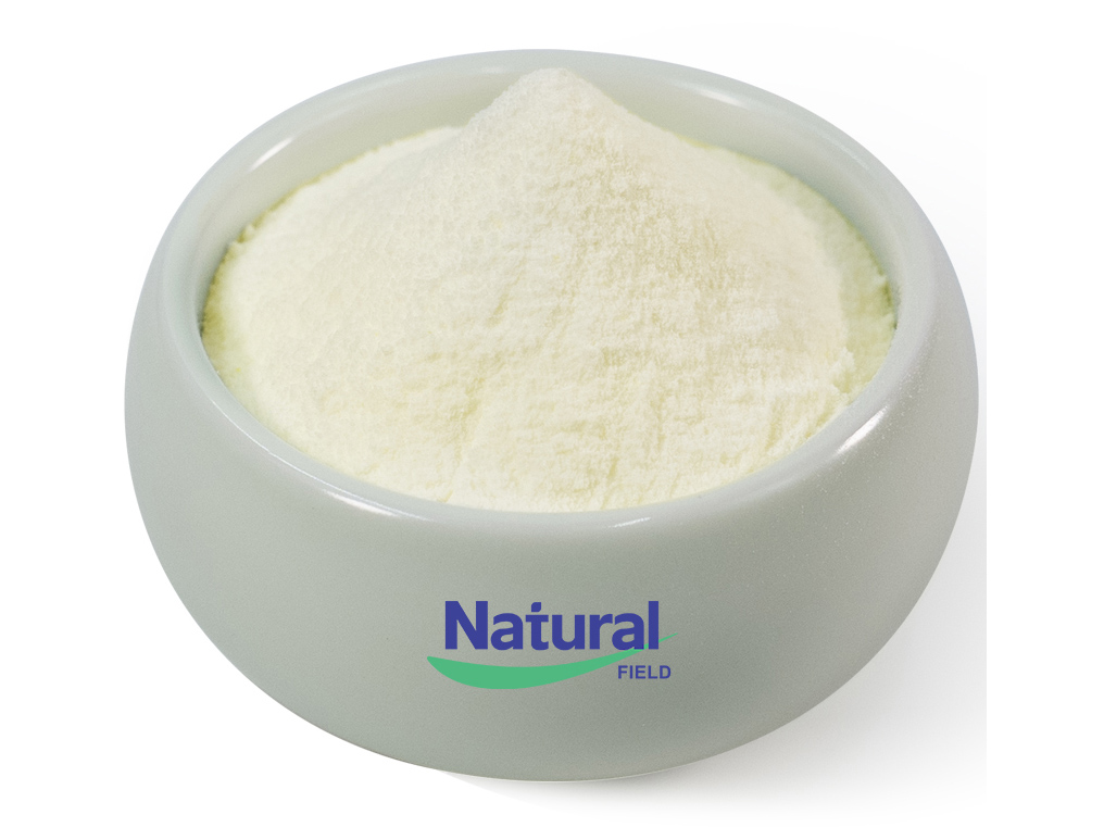 NMN vs NMNH: Key Differences in Ingredients, Stability, and Bulk Supply Applications