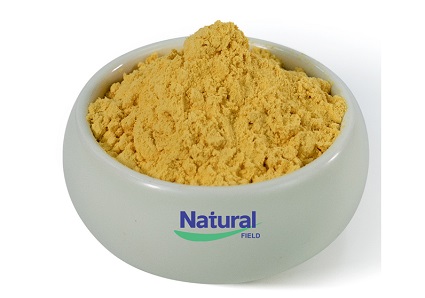 Quercetin vs Luteolin: Market Supply, Bulk Powder, and Supplier Comparison