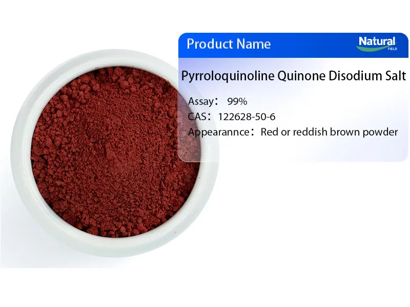 PQQ Global Market Demand Trends in 2026: Key Concerns Among Consumers