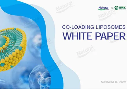 Liposome-White-Paper.jpg Liposome-White-Paper.jpg