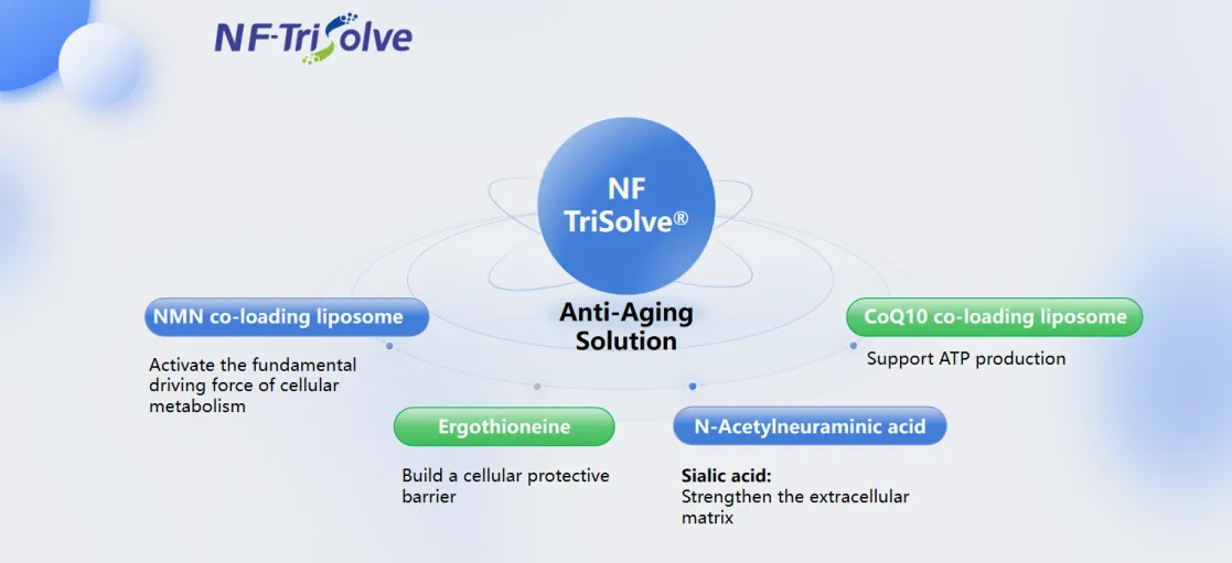 NF-Trisolve.png NF-Trisolve.png