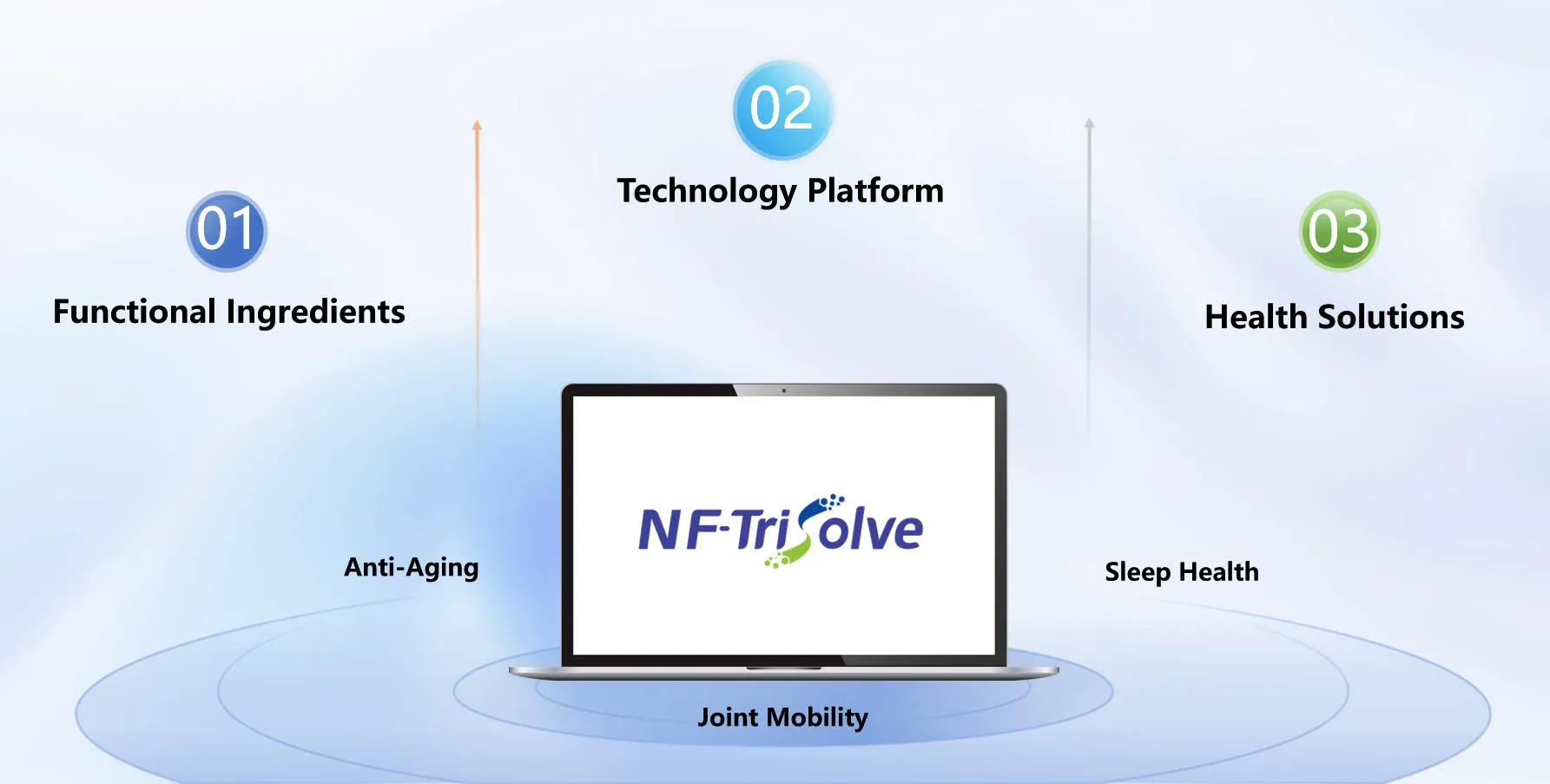 All About NFTriSolve®: Natural Field’s Plant-Derived Co-Loaded Liposome Health Solutions